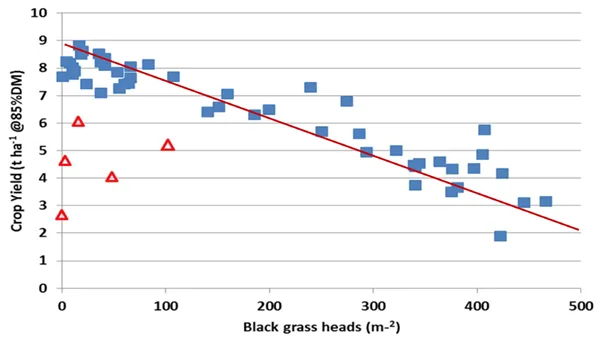 Scatter chart of black-grass plants per square metre against percentage crop yield loss