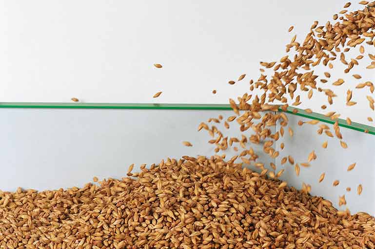 Seed Treatments
