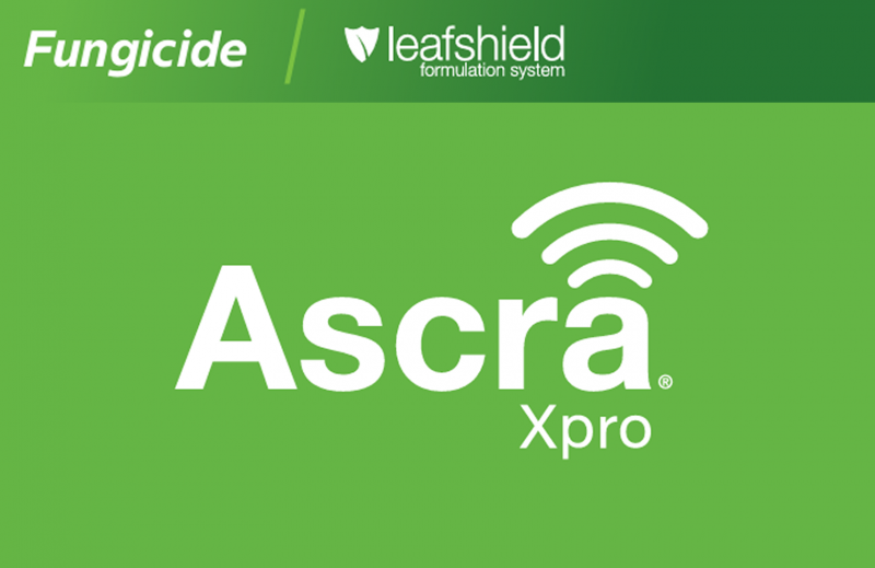 Ascra Xpro
