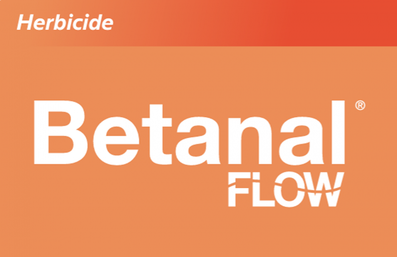 Betanal Flow