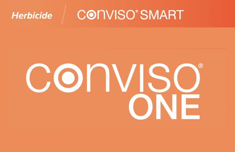 Conviso One