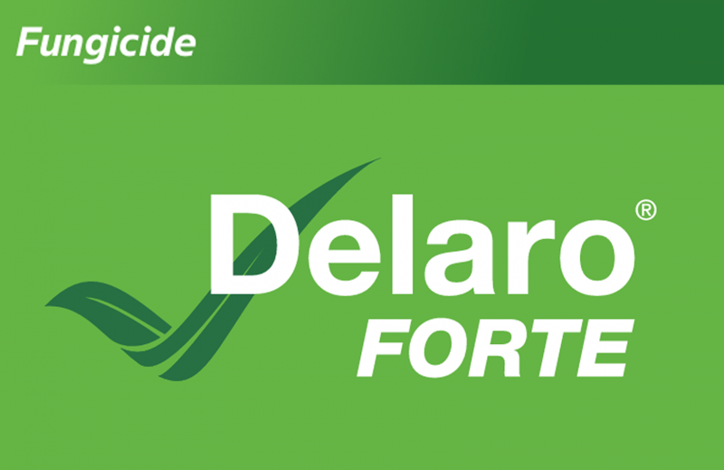 Delaro Forte