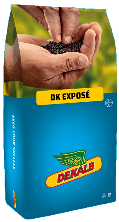 DK Exposé