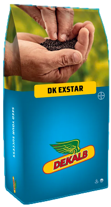 DK Exstar