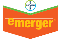 Emerger