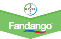Fandango