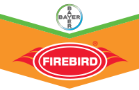 Firebird