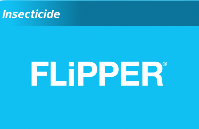 Flipper