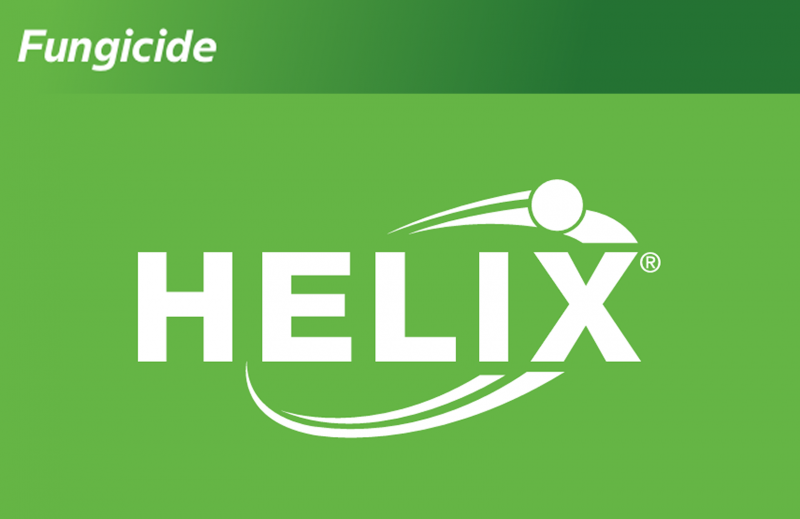 Helix