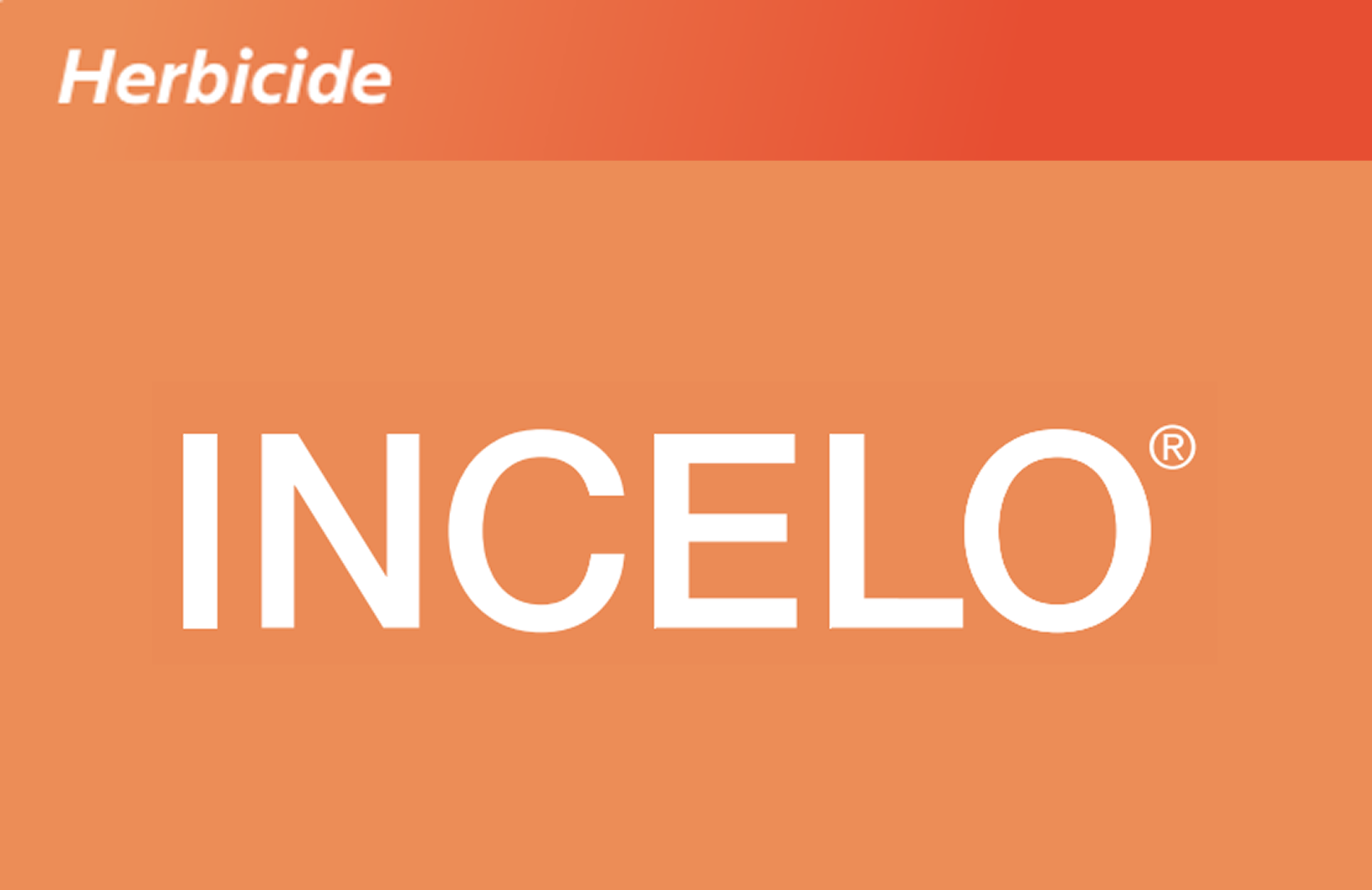 Incelo