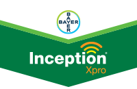 Inception
