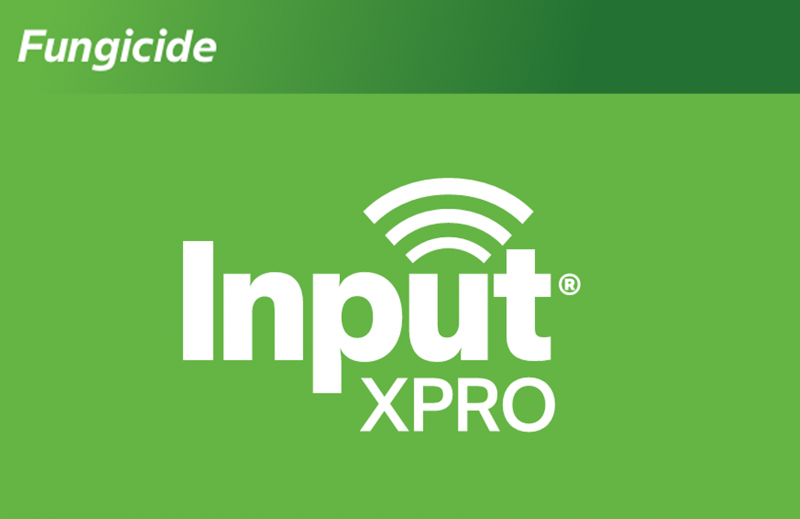 Input Xpro