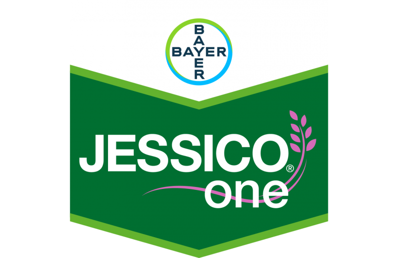 Jessico One
