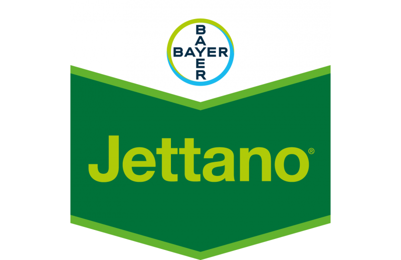 Jettano