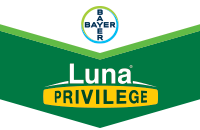 Luna Privilege