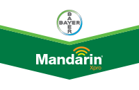Mandarin Xpro