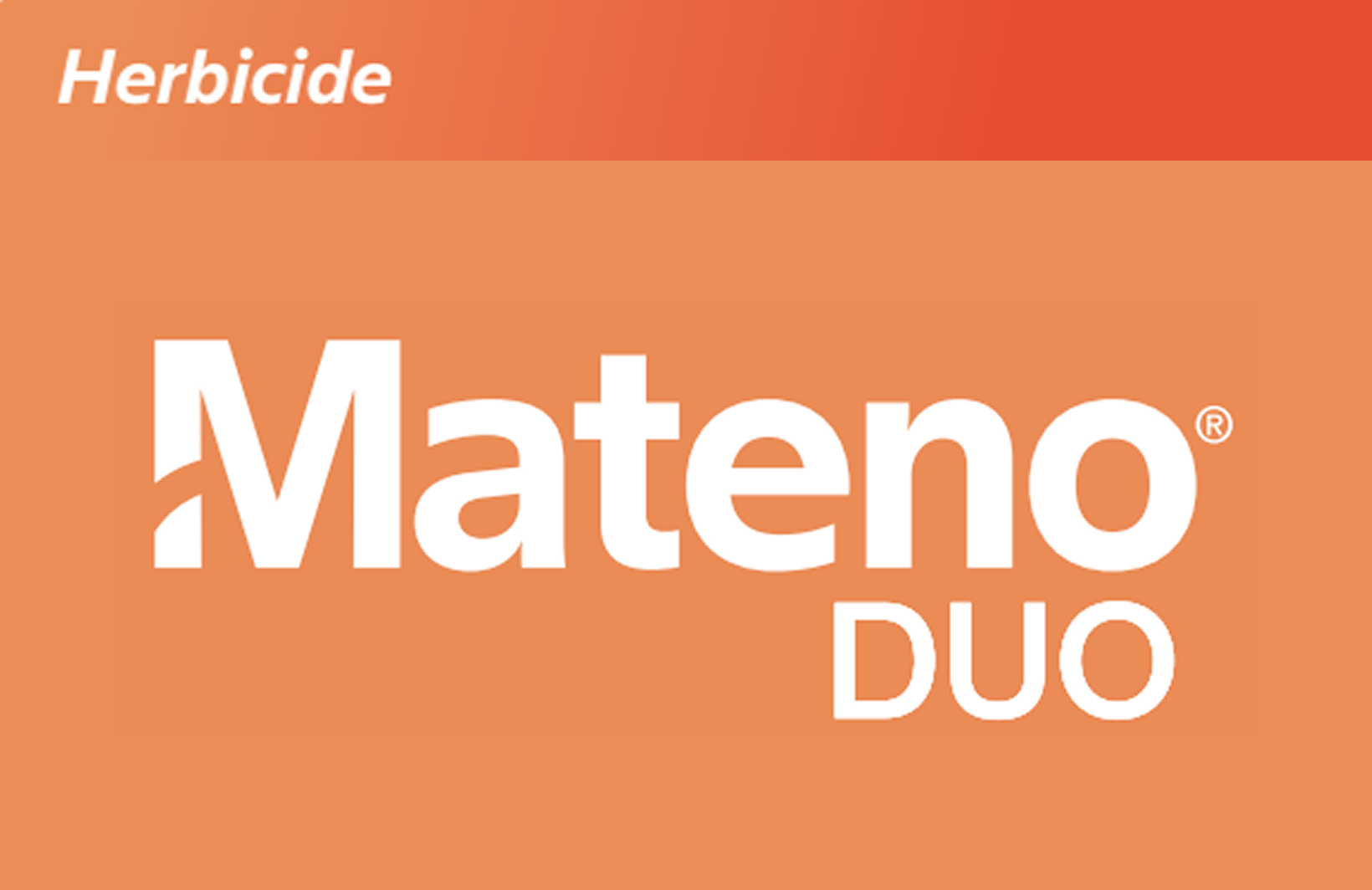 Mateno Duo