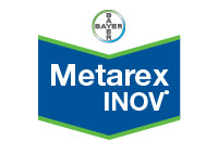 Metarex Inov