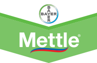 Mettle