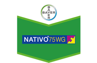 Nativo 75 WG