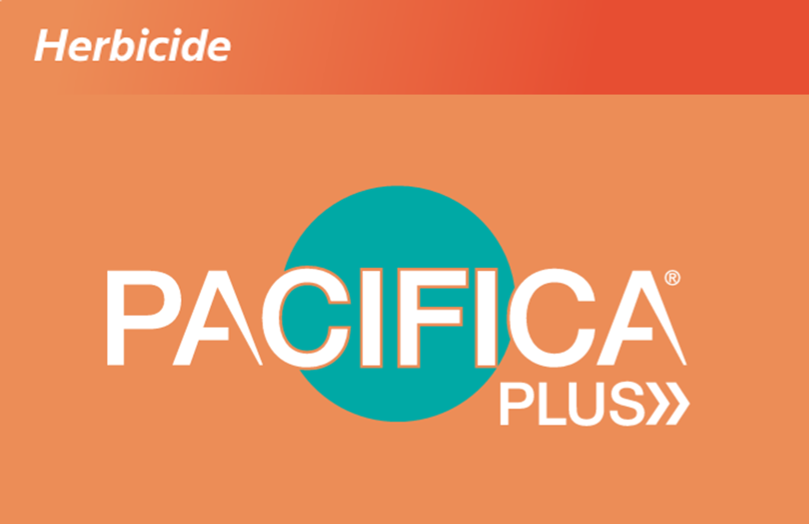 Pacifica Plus