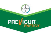 Previcur Energy