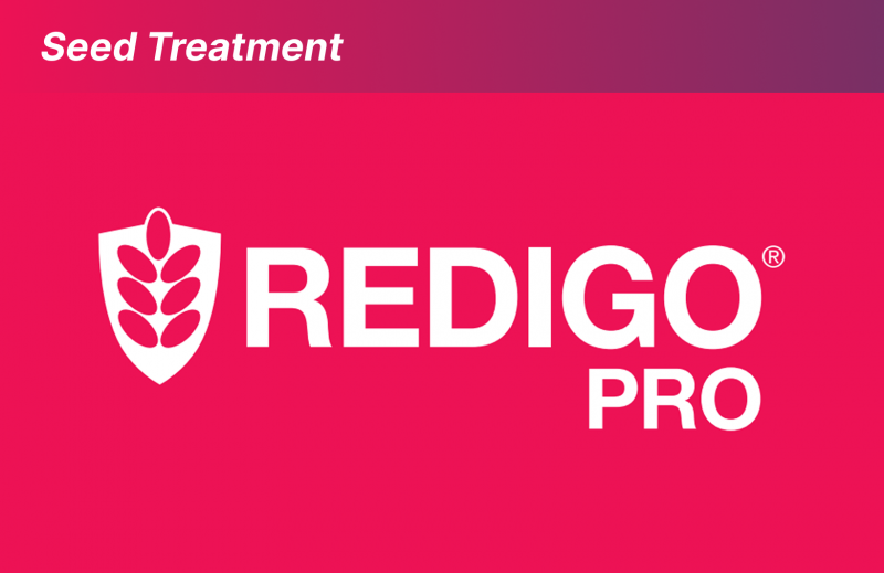 Redigo Pro