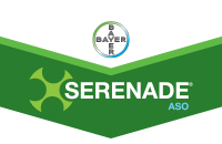 Serenade ASO