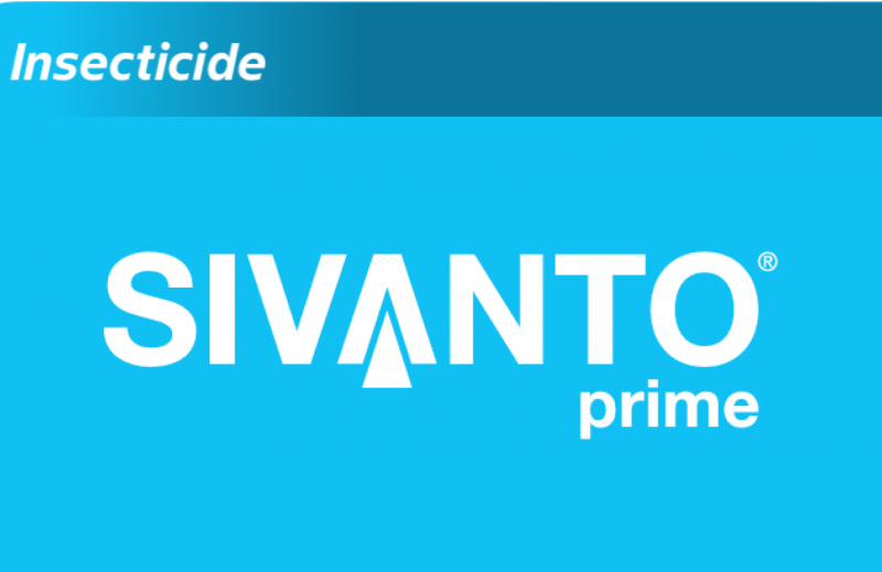 Sivanto Prime