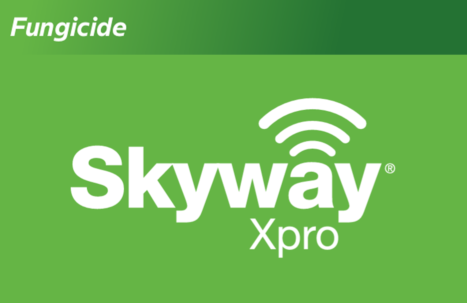 Skyway Xpro