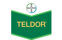 Teldor