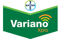 Variano Xpro