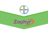 Zephyr