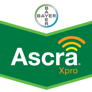 ascra-featured